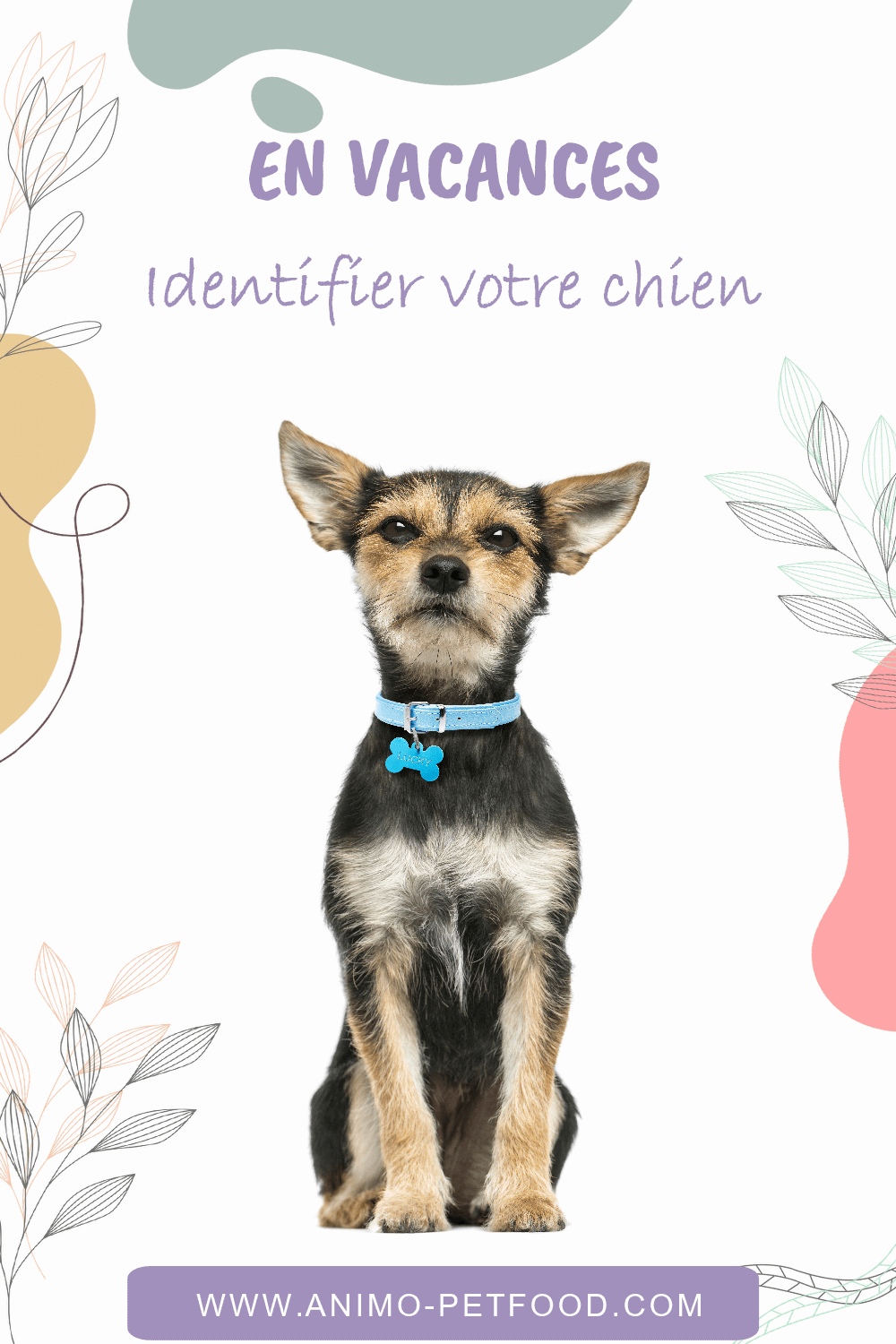 chien-identification-puce-electronique